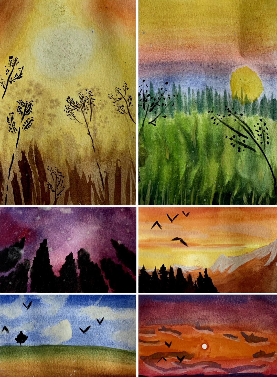 Watercolour paintings