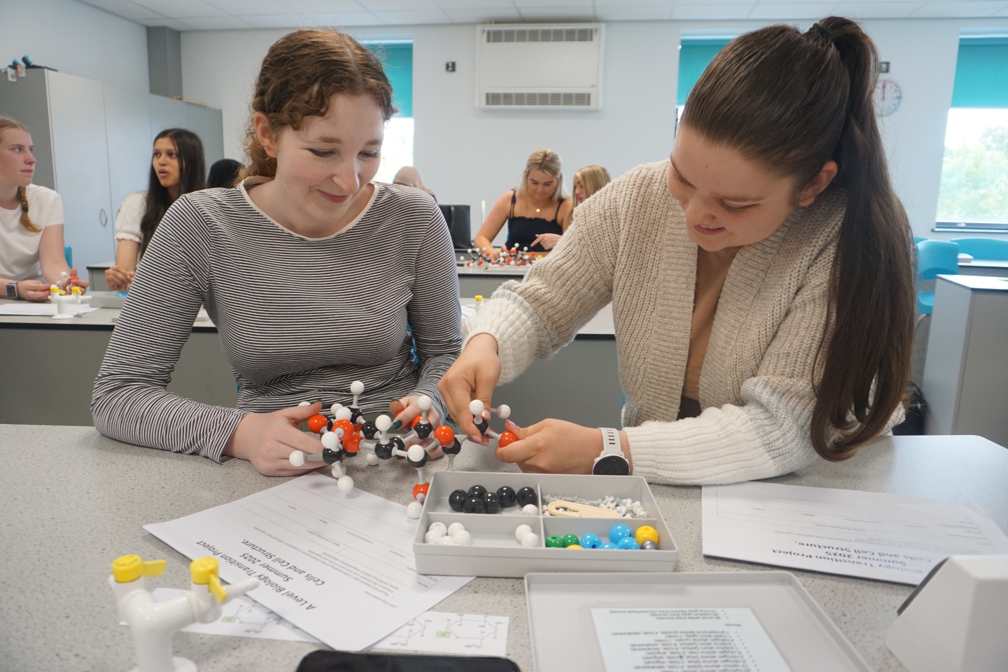 Sixth Form students in Science lesson